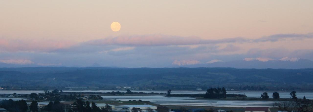 Tahuna Hills Guesthouse Nelson Buitenkant foto